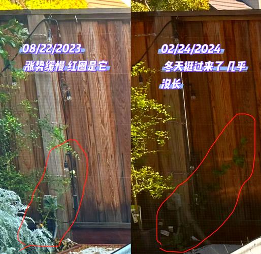 百香果怎么种？百香果怎么种植才结果？