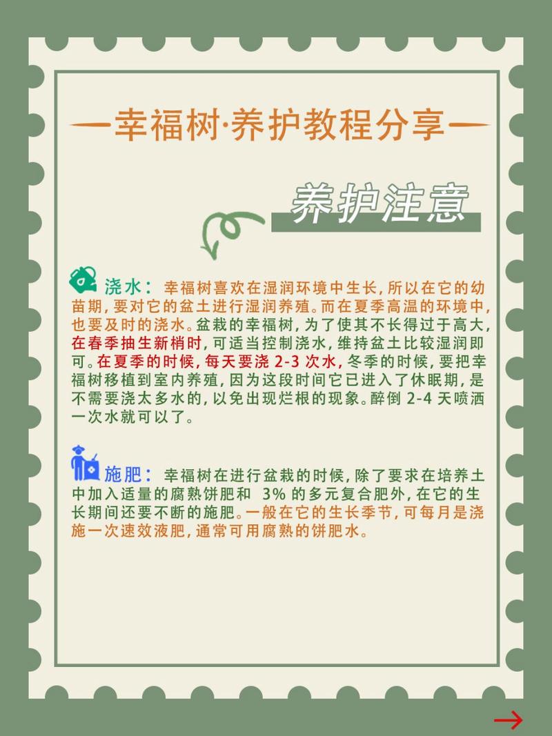 幸福树适合什么时候种？幸福树啥时候种植比较好？-第4张图片-优品飞百科