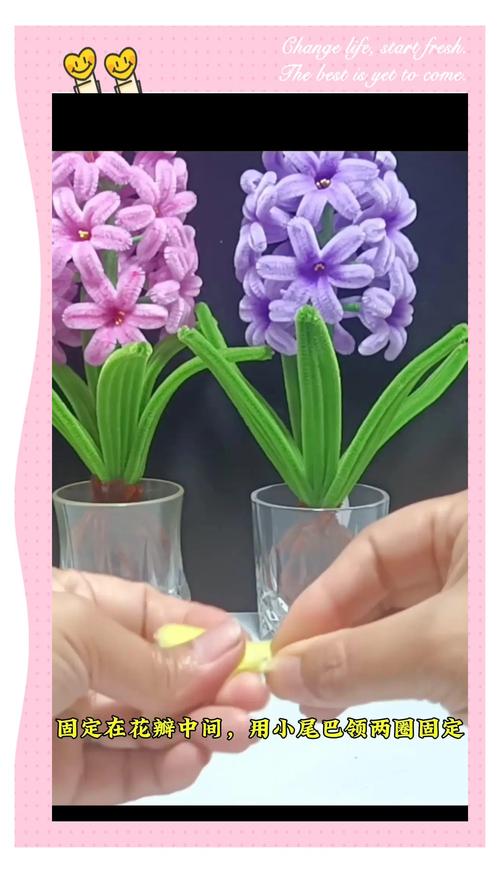 风信子塑料瓶怎么做,自制风信子塑料瓶-第2张图片-优品飞百科 风信子塑料瓶怎么做,自制风信子塑料瓶-第2张图片-优品飞百科