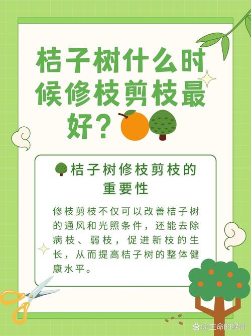 盆栽桔子什么时候剪枝，盆栽桔子什么时候剪枝比较好