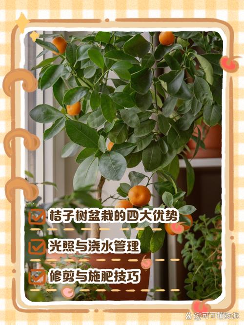 盆栽桔子什么时候剪枝,盆栽桔子什么时候剪枝比较好-第5张图片-优品飞百科 盆栽桔子什么时候剪枝,盆栽桔子什么时候剪枝比较好-第5张图片-优品飞百科