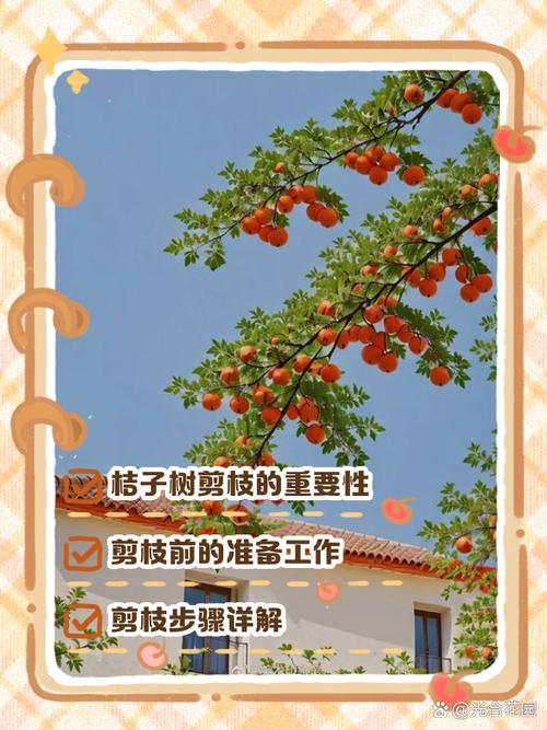 盆栽桔子什么时候剪枝,盆栽桔子什么时候剪枝比较好-第8张图片-优品飞百科 盆栽桔子什么时候剪枝,盆栽桔子什么时候剪枝比较好-第8张图片-优品飞百科