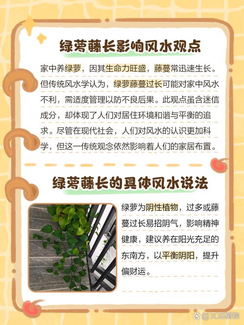 大绿萝怎么修剪，大绿箩怎么修剪-第5张图片-优品飞百科