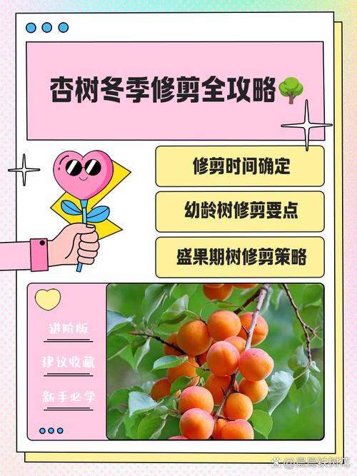 杏树修剪时间和方法，桃树的修剪时间及方法视频-第3张图片-优品飞百科