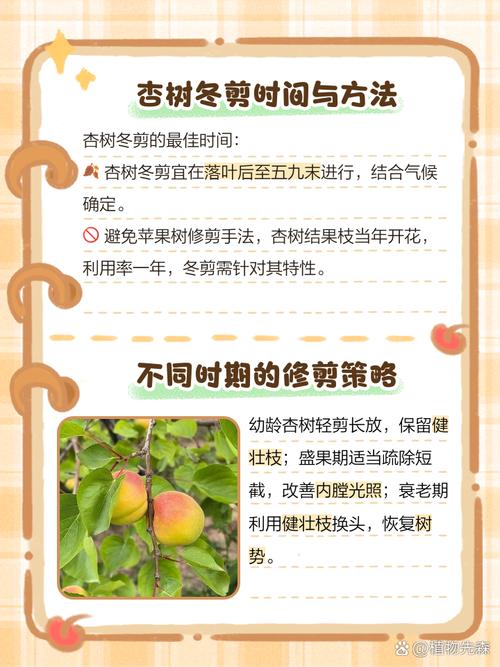 杏树修剪时间和方法，桃树的修剪时间及方法视频-第5张图片-优品飞百科