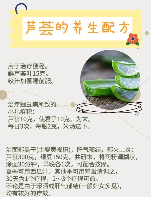 美容芦荟怎么养,美容芦荟养殖方法和注意事项?-第4张图片-优品飞百科 美容芦荟怎么养,美容芦荟养殖方法和注意事项?-第4张图片-优品飞百科