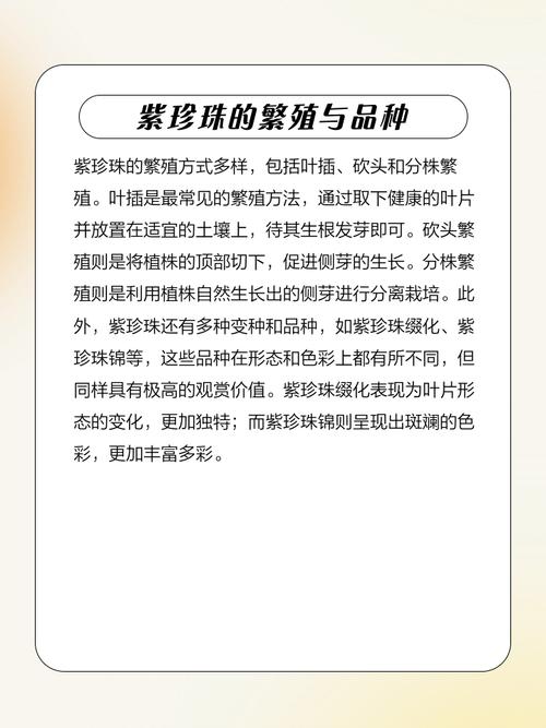 新买的紫珍珠怎么养？紫珍珠怎么度夏？