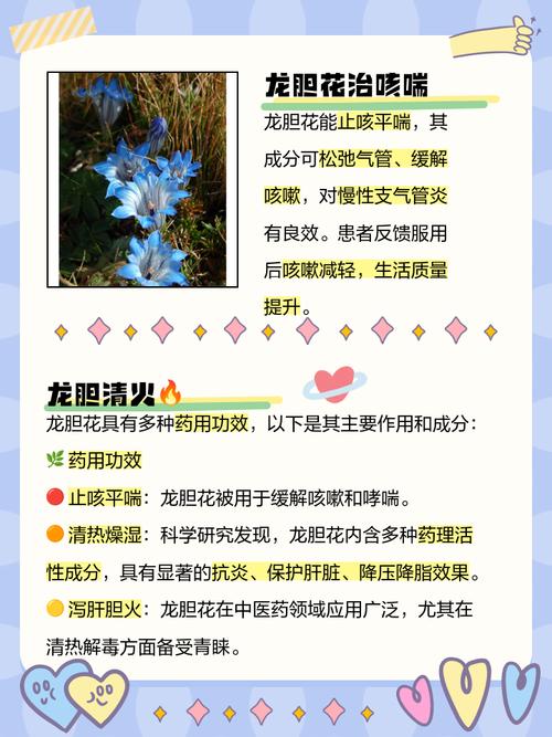 红花龙胆冬天养殖的禁忌,红花龙胆用法?-第3张图片-优品飞百科 红花龙胆冬天养殖的禁忌,红花龙胆用法?-第3张图片-优品飞百科