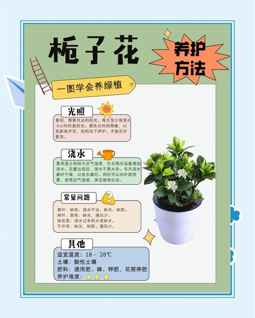 栀子花怎么养才会茂盛？栀子花怎么养才养得好？