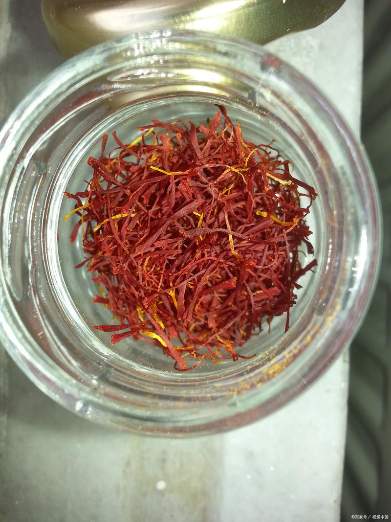 藏红花如何养护长的好?藏红花怎么养植?-第7张图片-优品飞百科 藏红花如何养护长的好?藏红花怎么养植?-第7张图片-优品飞百科