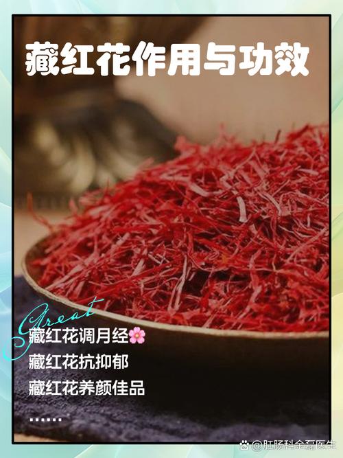 藏红花如何养护长的好?藏红花怎么养植?-第8张图片-优品飞百科 藏红花如何养护长的好?藏红花怎么养植?-第8张图片-优品飞百科