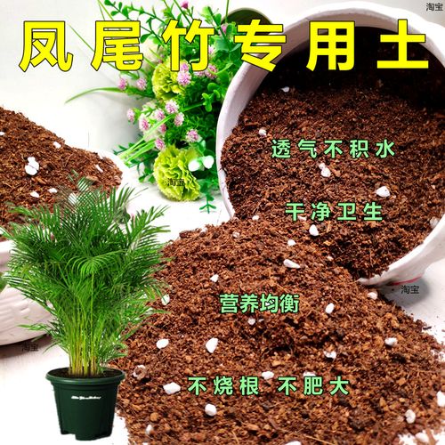 散尾葵用什么土，散尾葵用什么土质栽培-第4张图片-优品飞百科