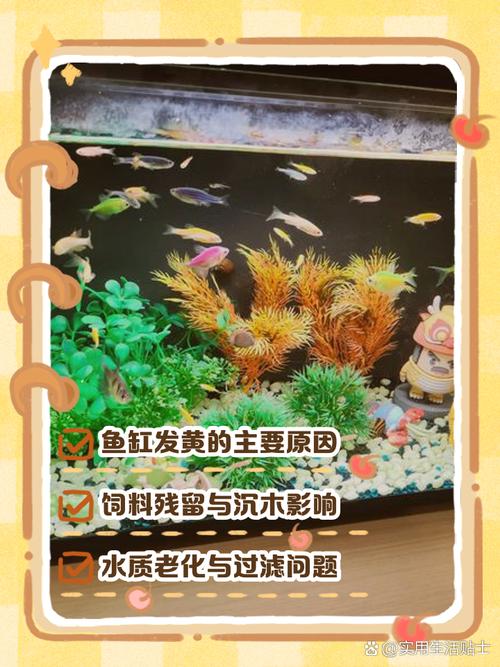 水培瓶里放条鱼，水培瓶里放条鱼能活吗？-第7张图片-优品飞百科