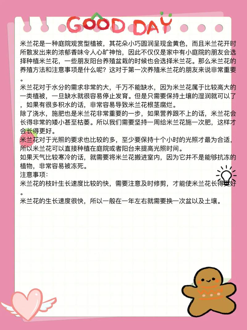 米兰花怎么养？米兰花怎么养护？