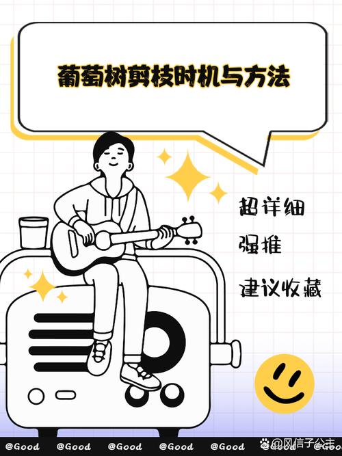 葡萄树扦插时间与方法？葡萄树如何扦插育苗？-第5张图片-优品飞百科