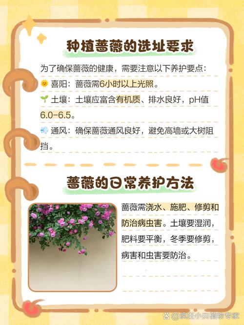 峨眉蔷薇的繁殖方式？峨眉蔷薇的花语？