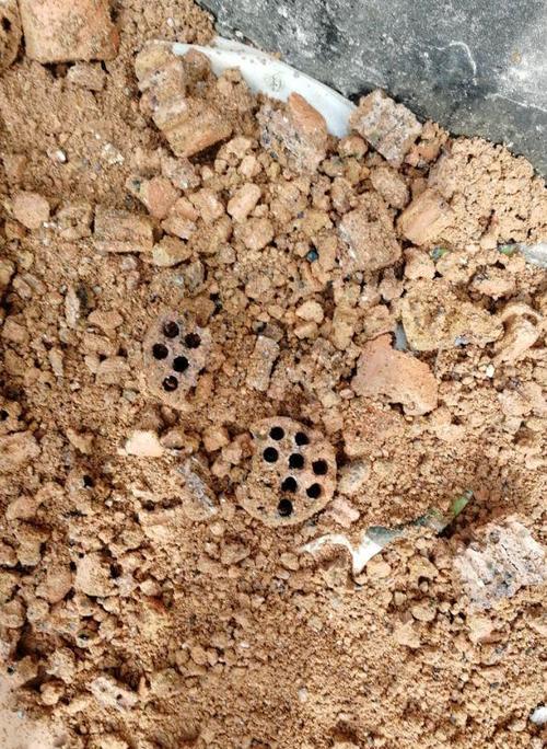 1碗蛋壳1斤西红柿?1碗蛋壳1斤西红柿放多少盐?-第4张图片-优品飞百科 1碗蛋壳1斤西红柿?1碗蛋壳1斤西红柿放多少盐?-第4张图片-优品飞百科