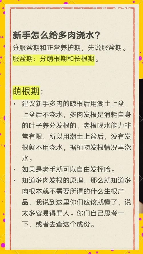 多肉服盆期怎么浇水，多肉服盆期怎样浇水-第3张图片-优品飞百科