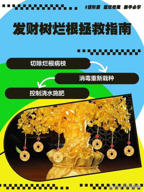 发财树皮烂了如何补救？发财树皮烂了怎么补救？-第7张图片-优品飞百科