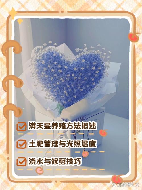 满天星换盆以后几天可以施肥，满天星移盆后怎么养护-第7张图片-优品飞百科