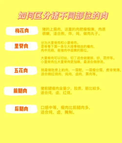 10个养肉误区，养肉肉有什么坏处-第2张图片-优品飞百科