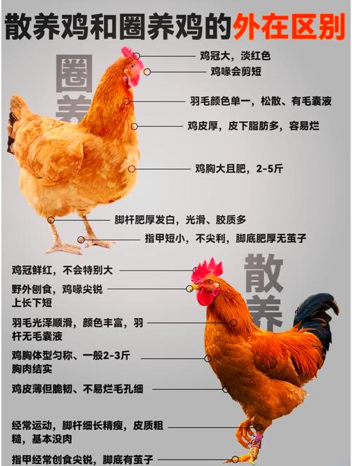 10个养肉误区，养肉肉有什么坏处-第3张图片-优品飞百科