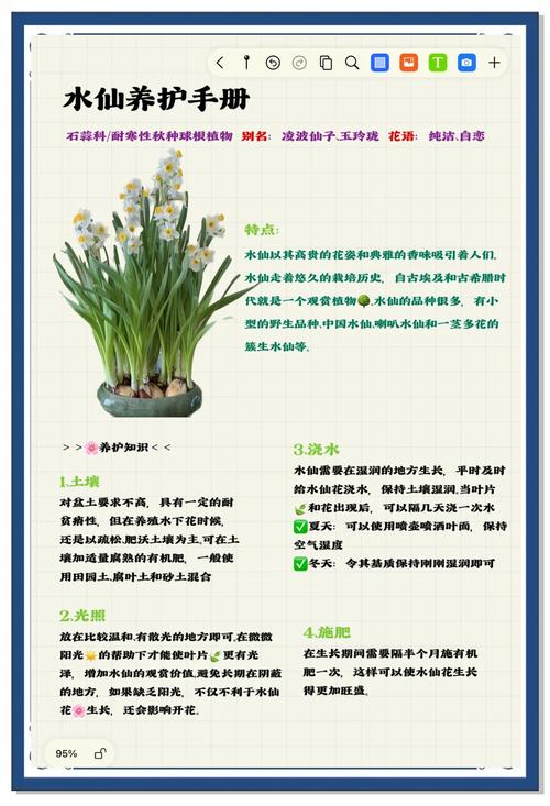 养花见干见湿的判断，养花见干见湿的判断方法-第2张图片-优品飞百科
