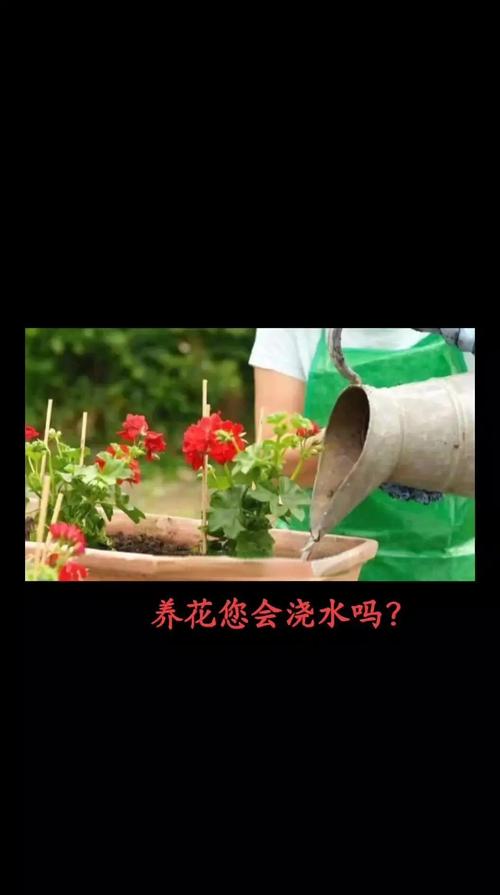 养花见干见湿的判断，养花见干见湿的判断方法-第3张图片-优品飞百科