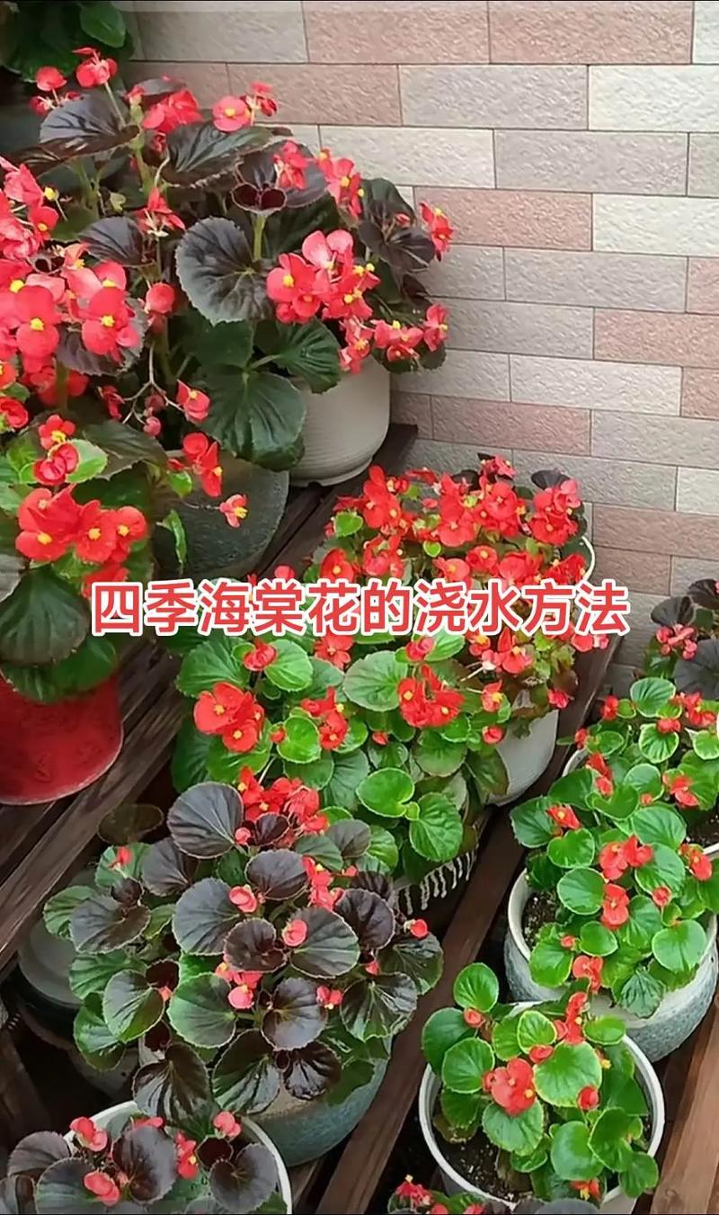 养花见干见湿的判断，养花见干见湿的判断方法-第4张图片-优品飞百科