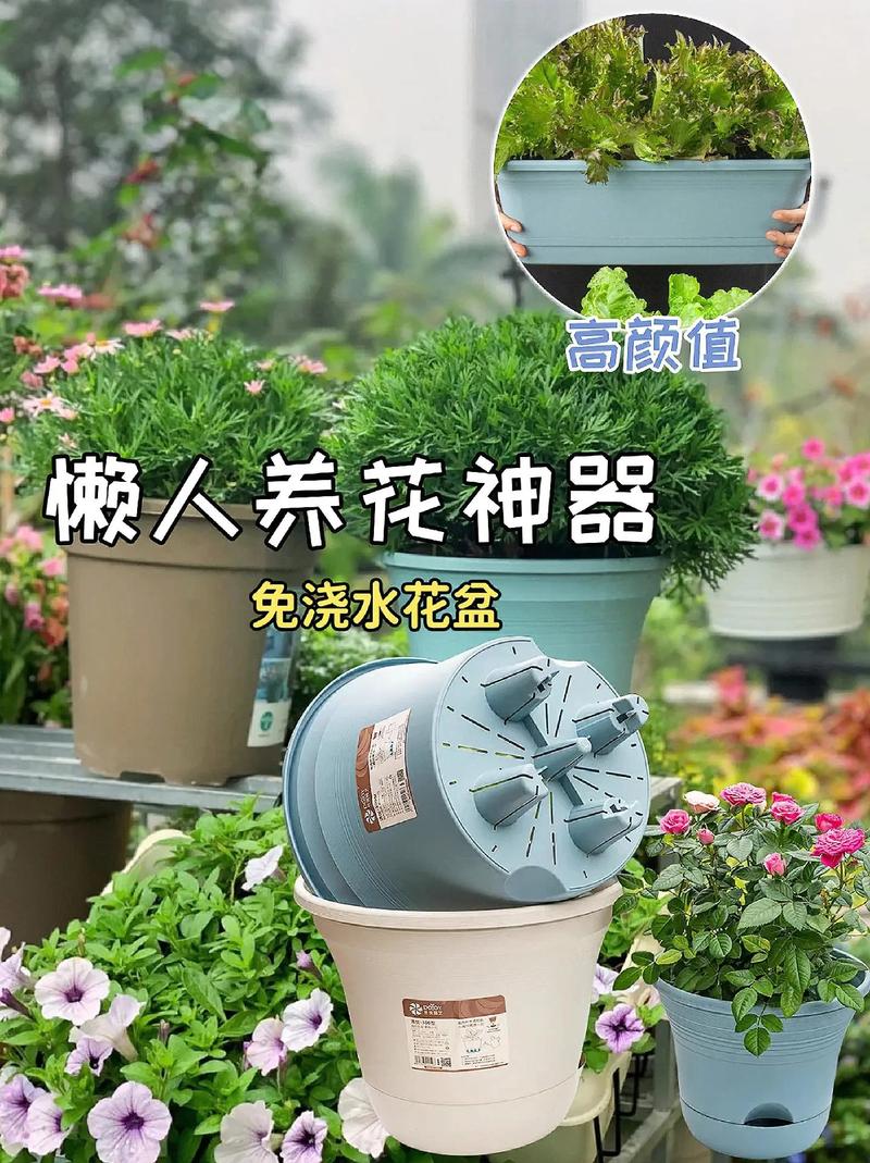 养了这么多花才知道？养这么多花的说说？-第5张图片-优品飞百科