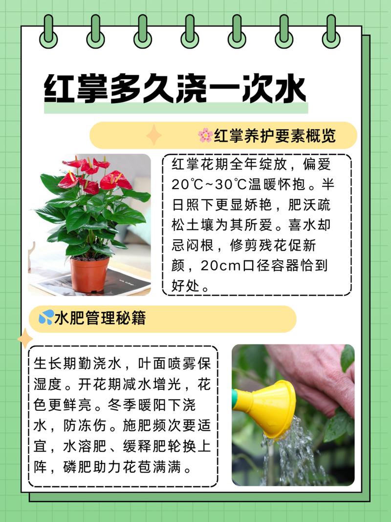 红掌可以用黄豆当肥吗,红掌可以用豆饼做肥料吗-第5张图片-优品飞百科 红掌可以用黄豆当肥吗,红掌可以用豆饼做肥料吗-第5张图片-优品飞百科