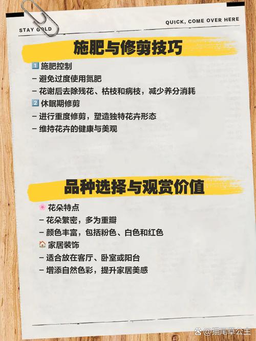 怎么栽培管理寿星桃，寿星桃怎么养？-第4张图片-优品飞百科