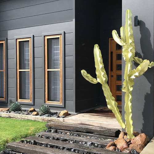 大戟阁锦扦插方法，大戟阁的寓意？-第3张图片-优品飞百科