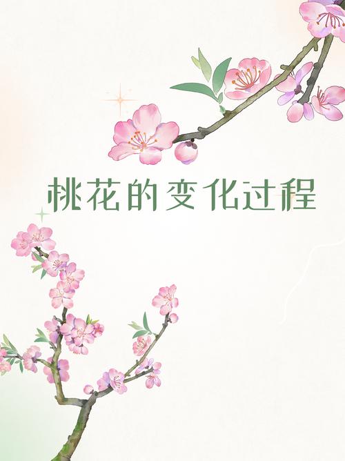 桃花播种方法，用来观赏的桃花怎样种？