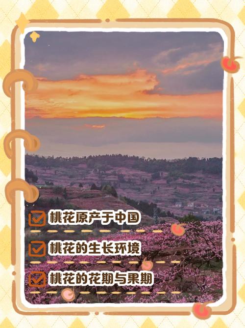 桃花播种方法，用来观赏的桃花怎样种？-第3张图片-优品飞百科