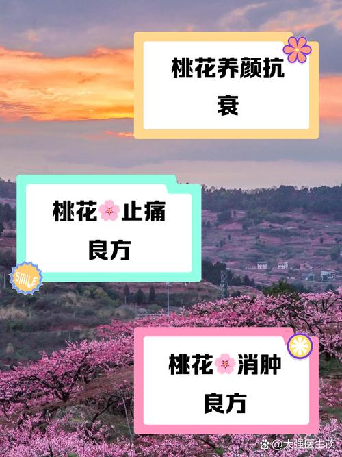 桃花播种方法，用来观赏的桃花怎样种？-第6张图片-优品飞百科