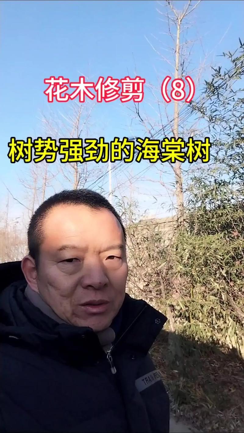 海棠树修剪时间及方法?海棠树修剪技术图解?-第2张图片-优品飞百科 海棠树修剪时间及方法?海棠树修剪技术图解?-第2张图片-优品飞百科