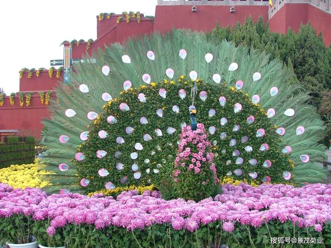 这花摆一盆放客厅？这花摆一盆放客厅还是卧室？-第5张图片-优品飞百科