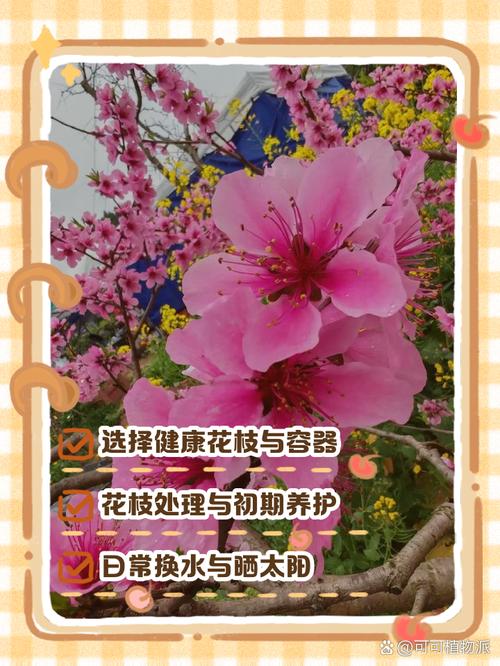 桃花修剪什么时间比较好，桃花几月修枝-第5张图片-优品飞百科