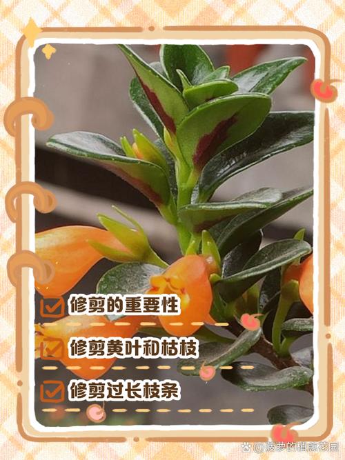 吊兰叶子全砍光，吊兰叶子剪光还能长吗-第3张图片-优品飞百科