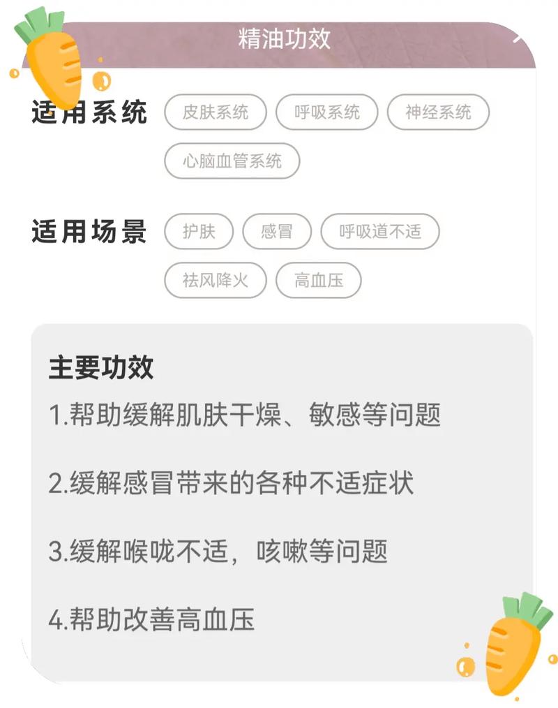 小山菊怎么养，山菊花怎么种植-第1张图片-优品飞百科