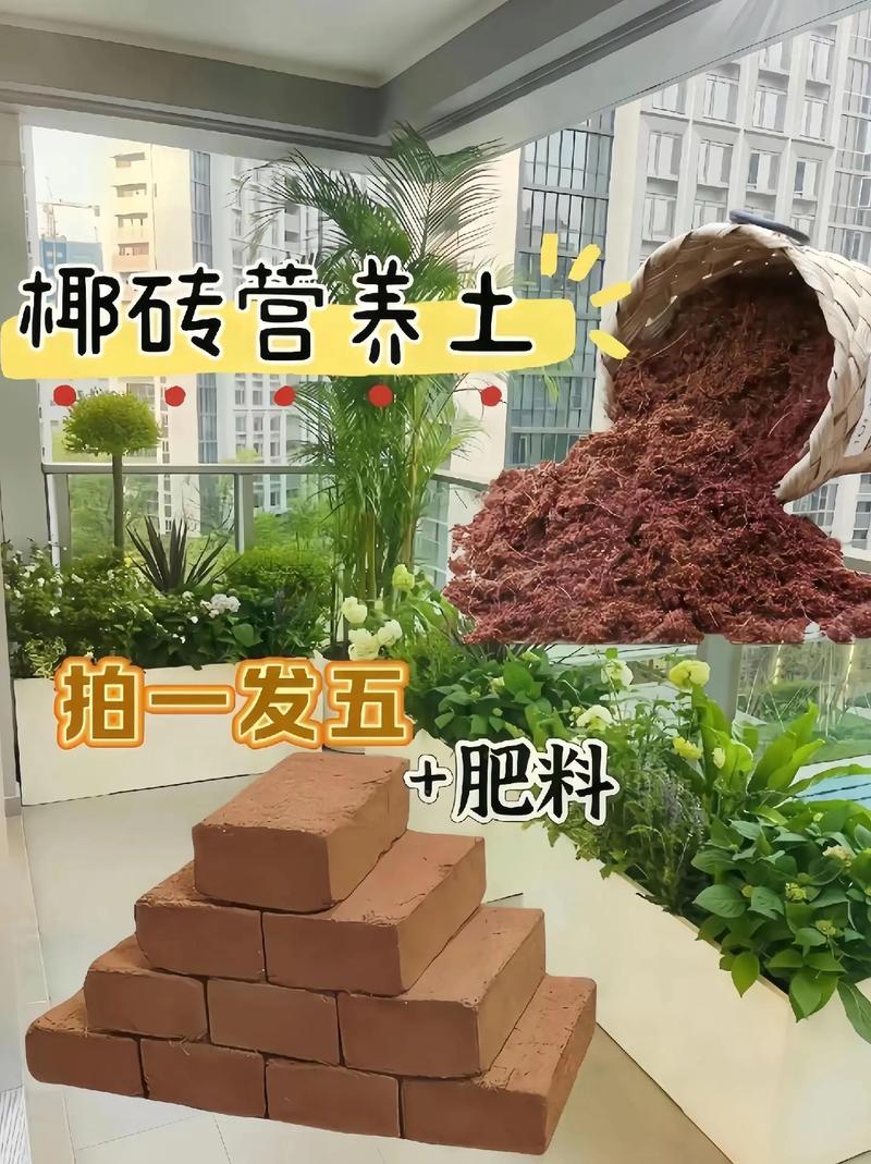 椰砖土是什么东西？椰砖土到底好不好？