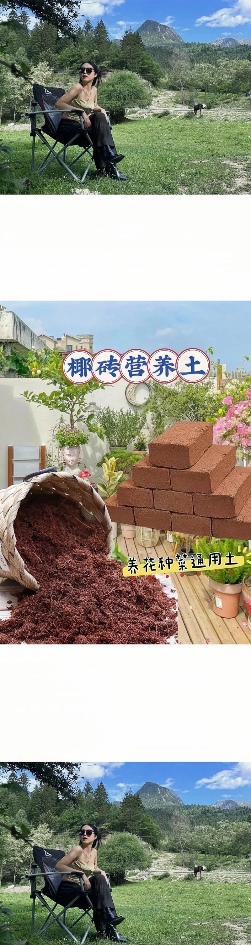 椰砖土是什么东西？椰砖土到底好不好？-第2张图片-优品飞百科