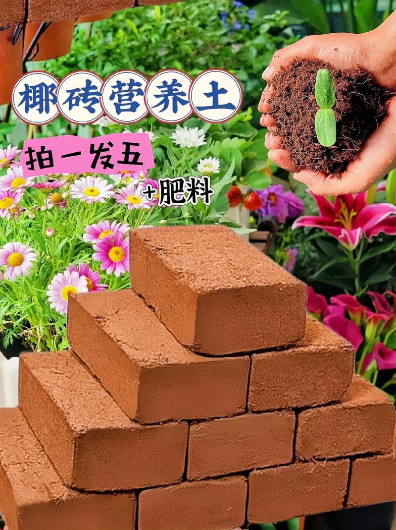 椰砖土是什么东西？椰砖土到底好不好？-第4张图片-优品飞百科