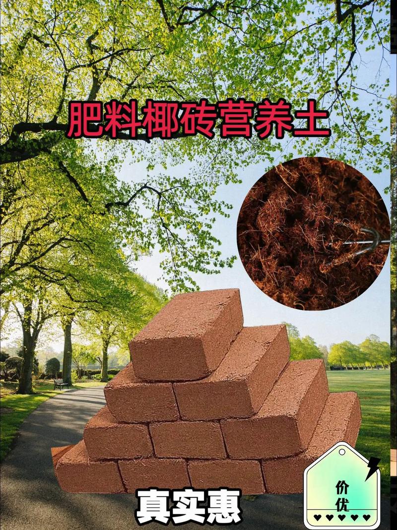 椰砖土是什么东西？椰砖土到底好不好？-第5张图片-优品飞百科