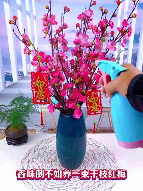 干枝梅怎么养，刚买的干枝梅怎么养