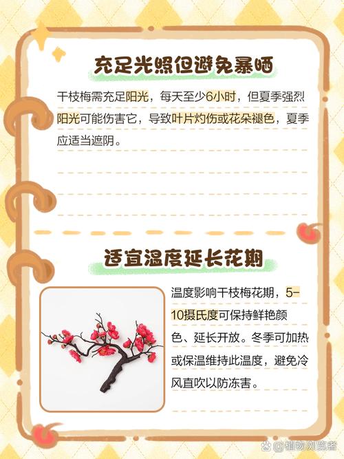 干枝梅怎么养，刚买的干枝梅怎么养-第3张图片-优品飞百科