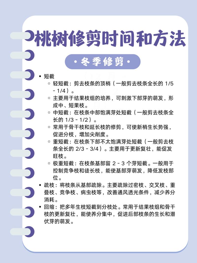 桃树不同时期的管理及修剪方法，桃树的修剪时间是几月份-第5张图片-优品飞百科