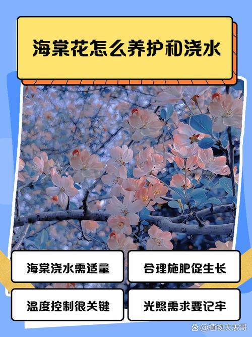 海棠施肥最佳时间，海棠施肥用什么肥料好