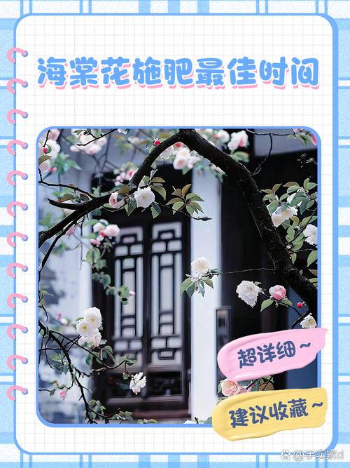 海棠施肥最佳时间,海棠施肥用什么肥料好-第5张图片-优品飞百科 海棠施肥最佳时间,海棠施肥用什么肥料好-第5张图片-优品飞百科